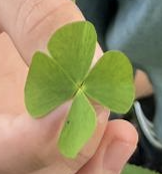 Bildschirmfoto 2025-10-13 um 13.05.58